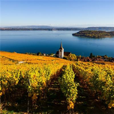 亿博app官网首页