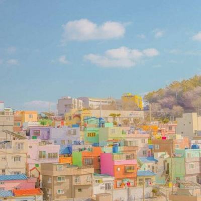 半岛登录平台网址